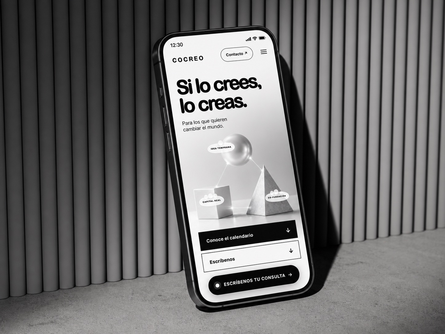 Proyecto web Cocreo