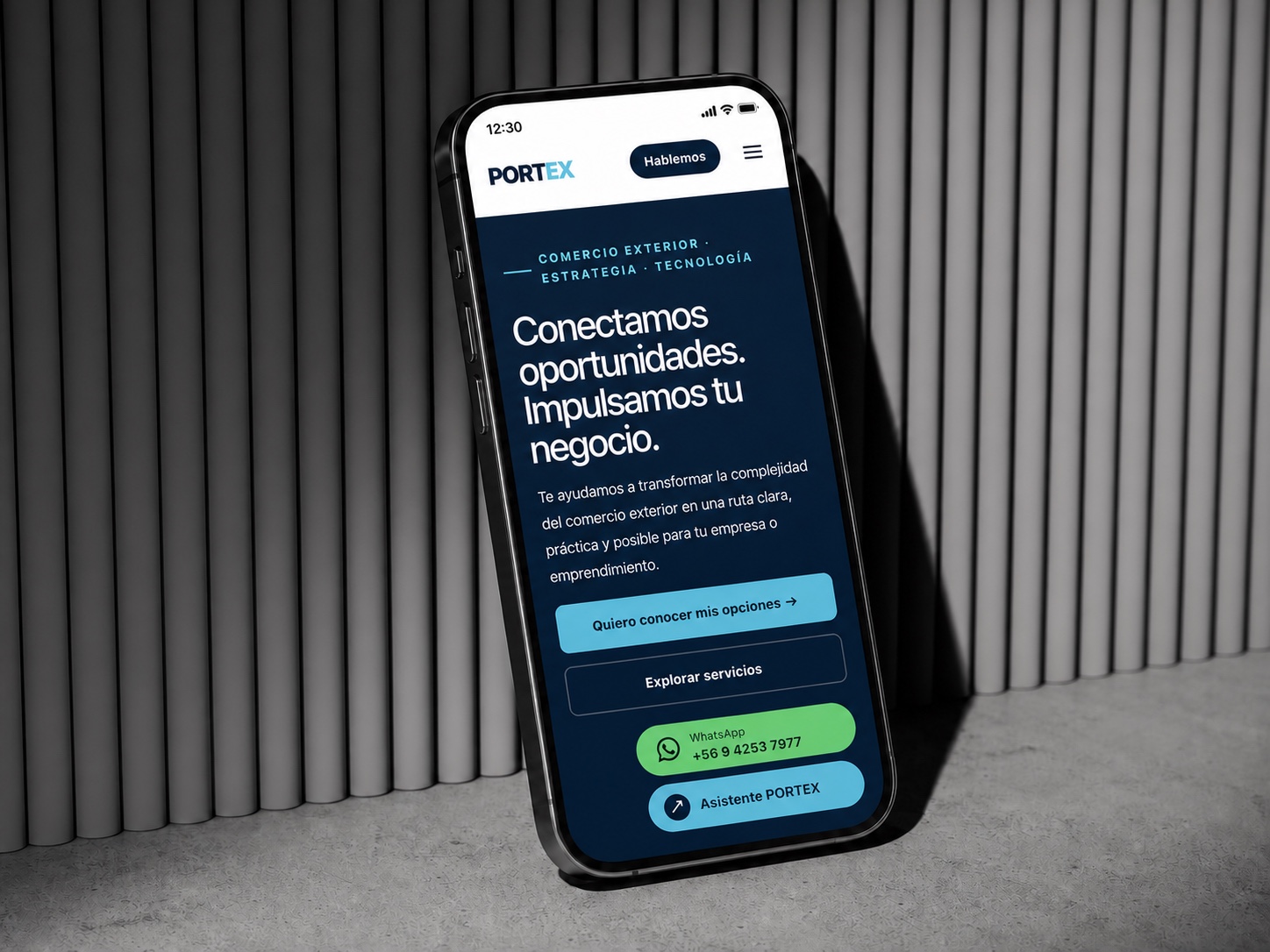 Proyecto web Portex